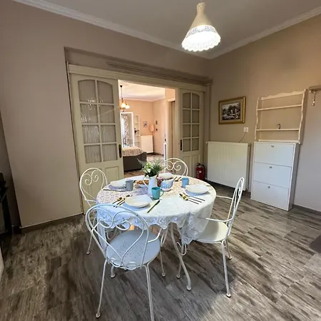 公寓 Maria's Lefkáda